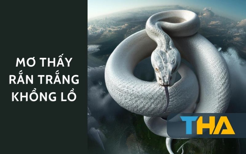 Ý nghĩa nằm mơ rắn trắng khổng lồ là một vài rắc rối